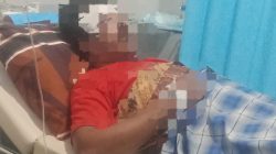 Bisnis Kayu Ilegal di Gane Diduga Kembali Makan Korban, APH Diminta Jangan Tutup Mata